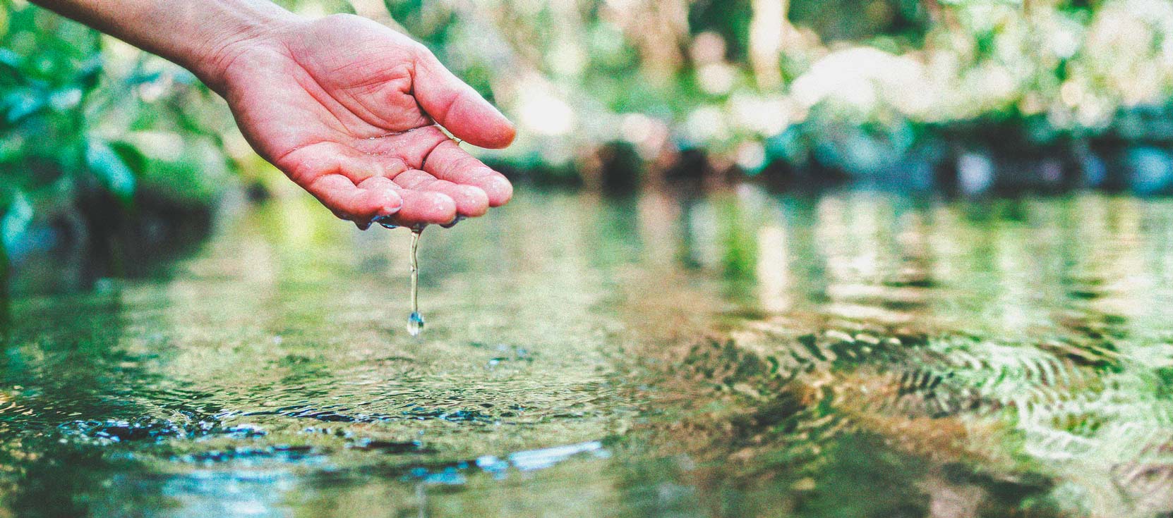 Marihuana y calidad del agua - Parte 3: Cómo elegir una fuente de agua