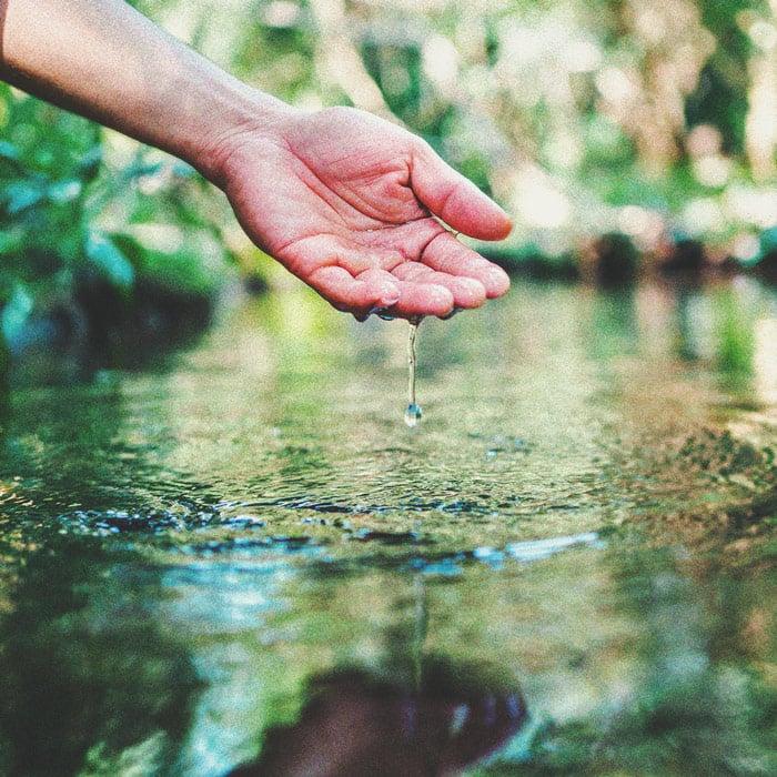 Marihuana y calidad del agua - Parte 3: Cómo elegir una fuente de agua