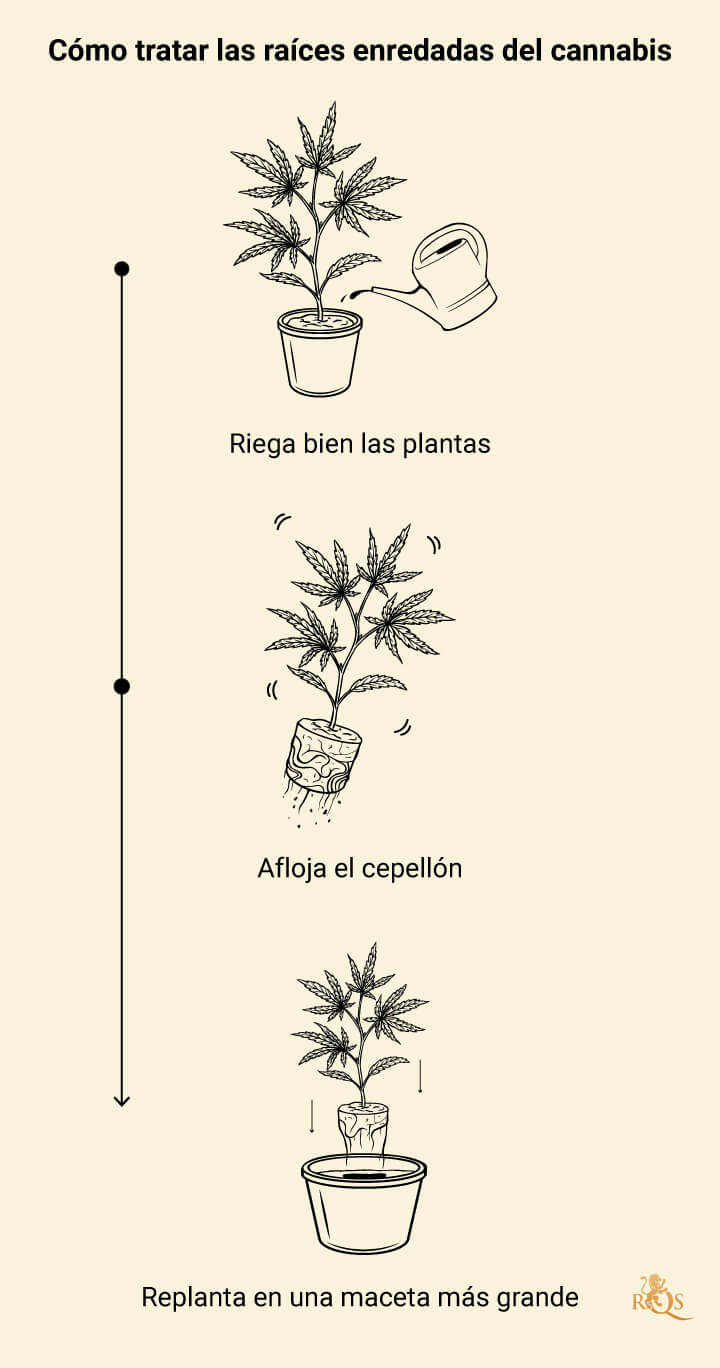 Rootbound Solution