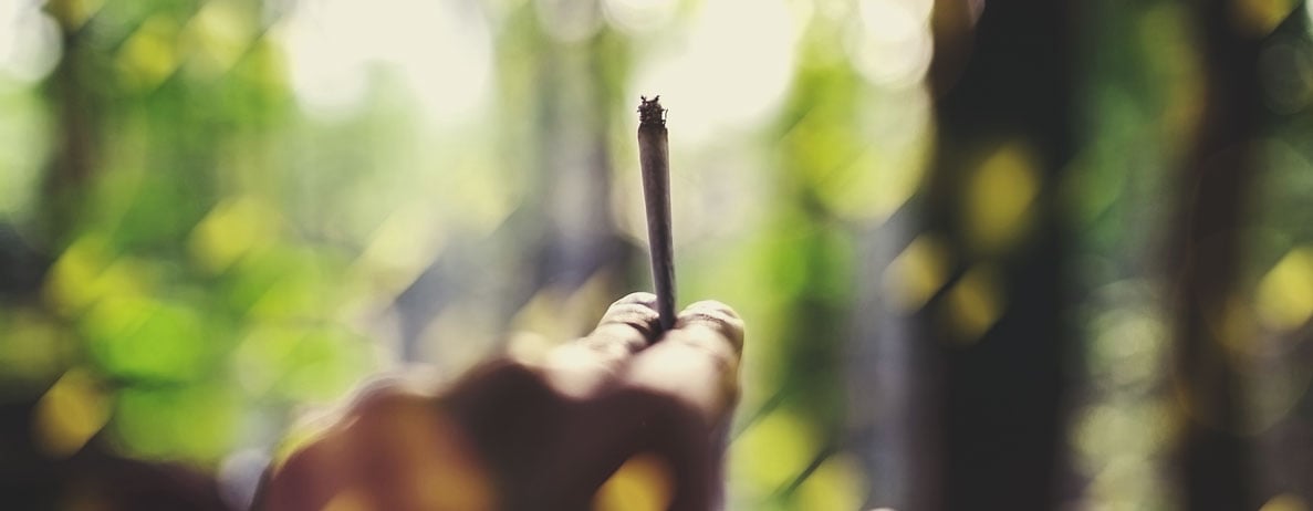 Situación y entorno para la marihuana: consejos y trucos