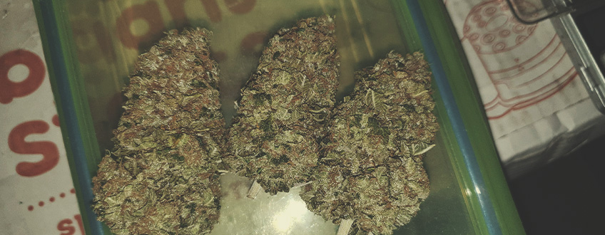 Shining Silver Haze Shining Silver Haze