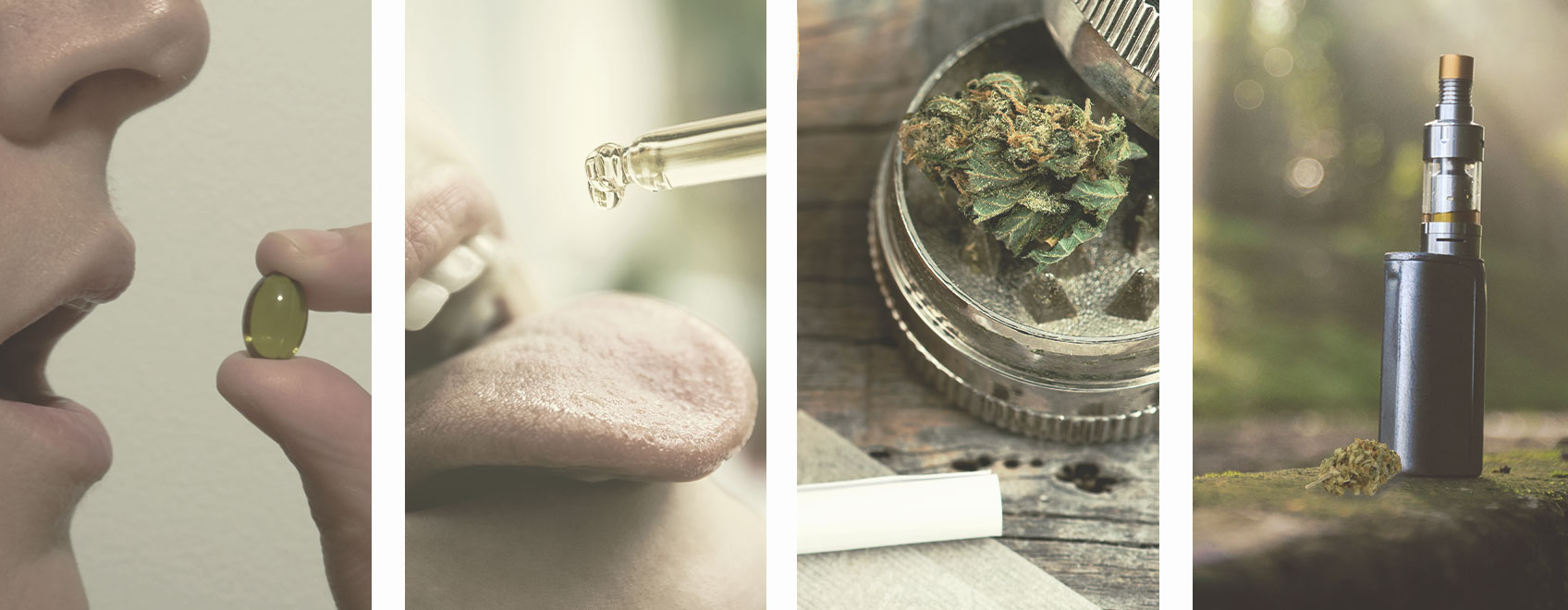 Cómo microdosificar CBD Cómo microdosificar CBD