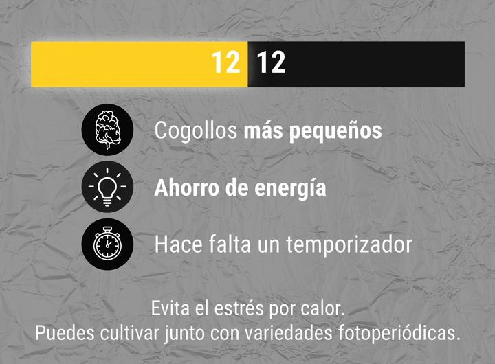 12:12 Ratio 12:12 Ratio