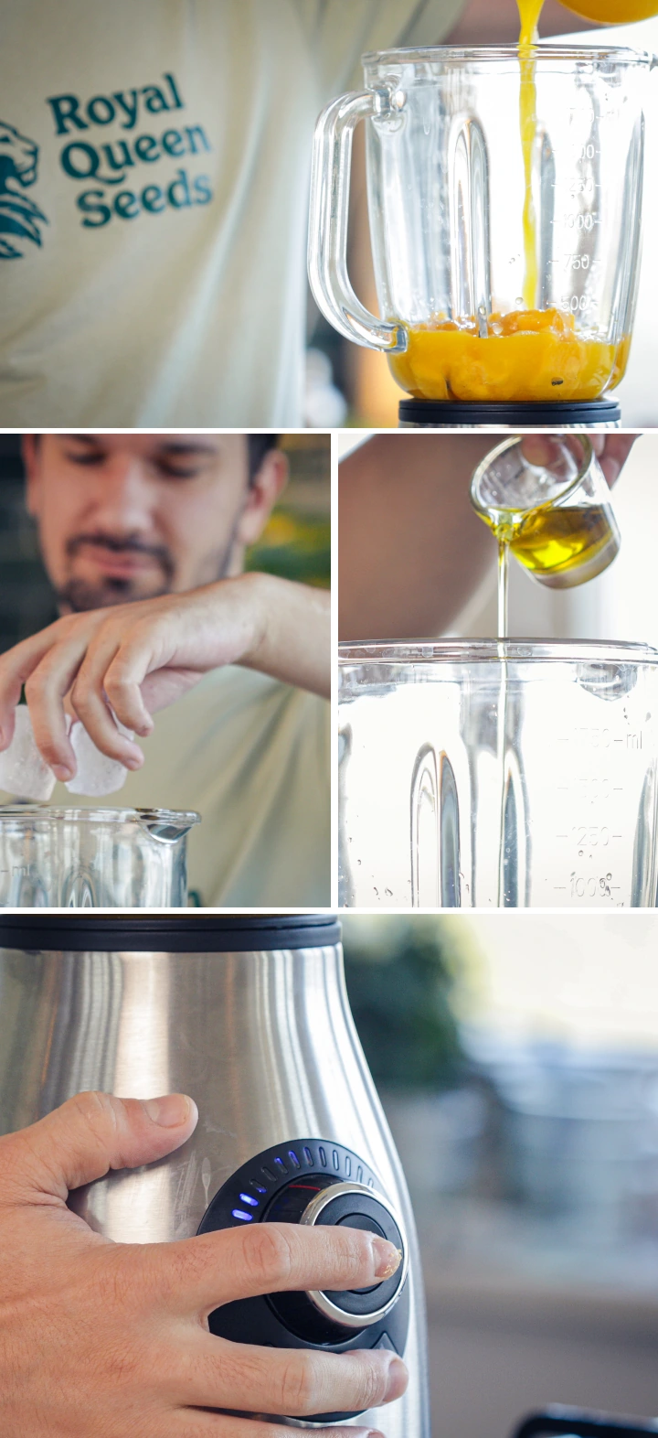 Añadiendo mango troceado, menta, cubitos de hielo, aceite MCT de cannabis y lecitina en el vaso de la batidora antes de mezclar.