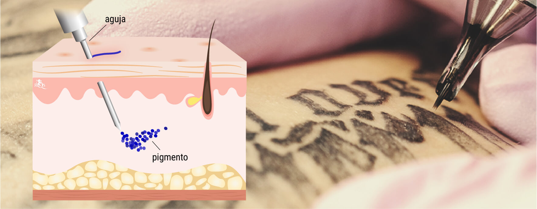 ¿En qué consiste el proceso de tatuarse? ¿En qué consiste el proceso de tatuarse?