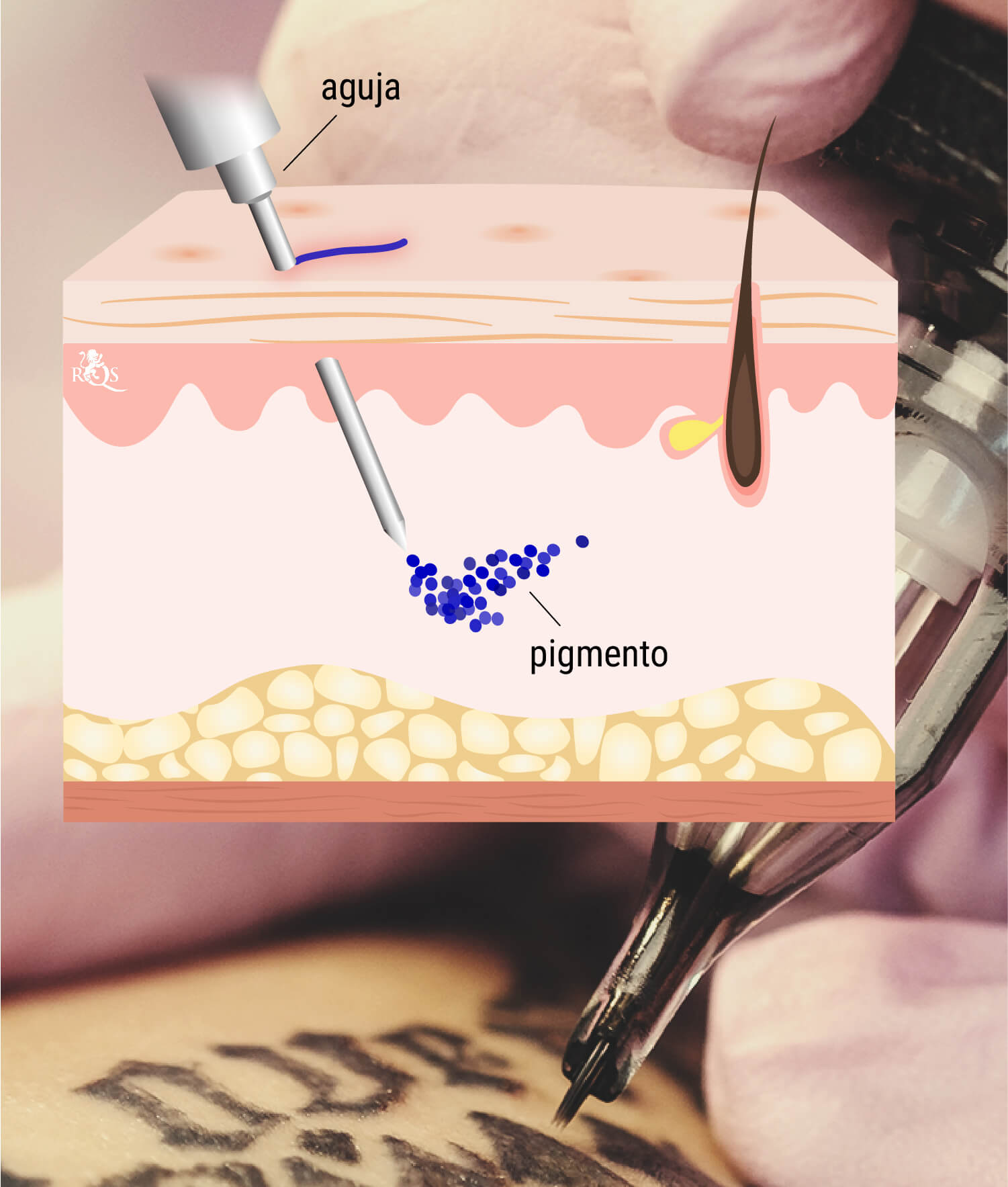 ¿En qué consiste el proceso de tatuarse? ¿En qué consiste el proceso de tatuarse?