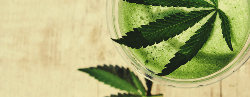 Zumo de Cannabis Zumo de Cannabis