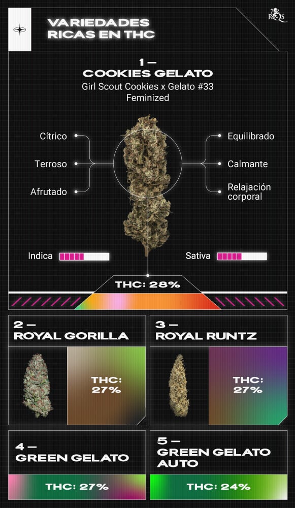 Top High TCH Strains