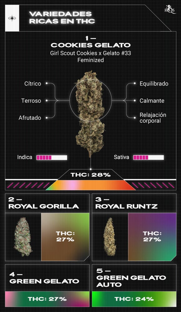 Top RQS High THC Strains