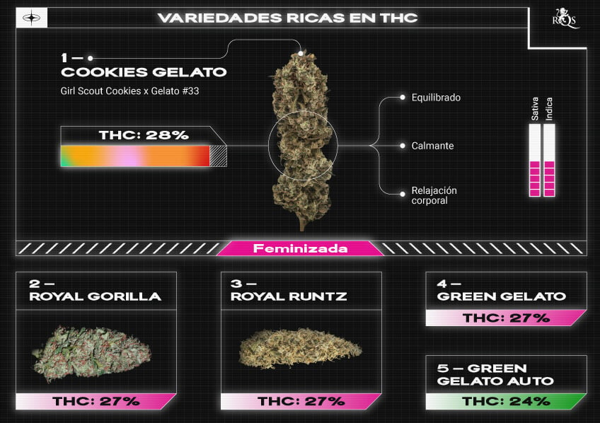 Top RQS THC Strains