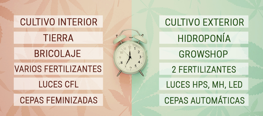 Trucos que ahorran tiempo al cultivador de cannabis con una agenda apretada