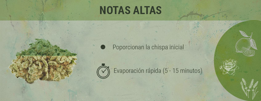 Top Chords Cannabis Top Chords Cannabis