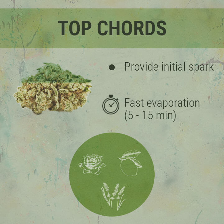 Top Chords Cannabis Top Chords Cannabis