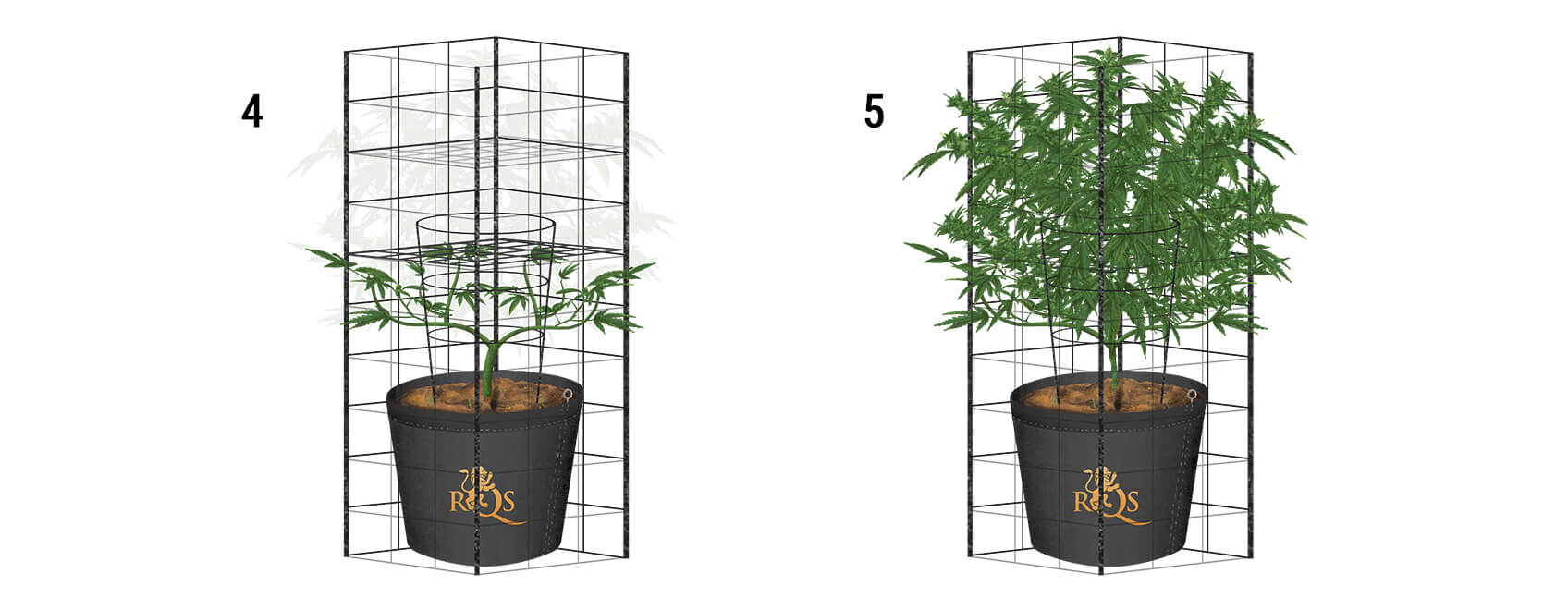 Cómo hacer un enrejado para la marihuana en exterior