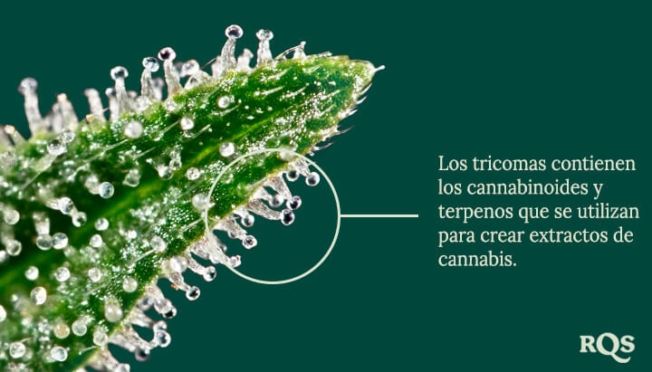 Vaporizadores de resinas y concentrados de cannabis