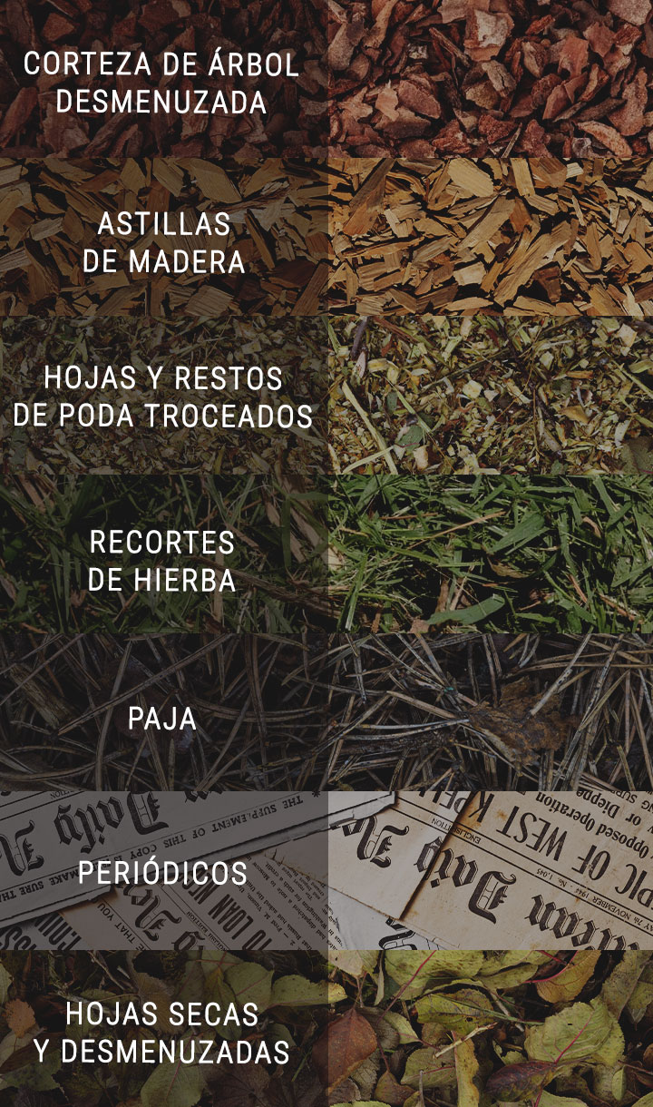 ¿Qué clase de acolchado es mejor para la marihuana? ¿Qué clase de acolchado es mejor para la marihuana?