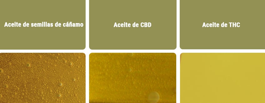Aceite de CBD vs otros tipos de aceites