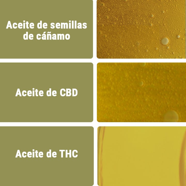 Aceite de CBD vs otros tipos de aceites