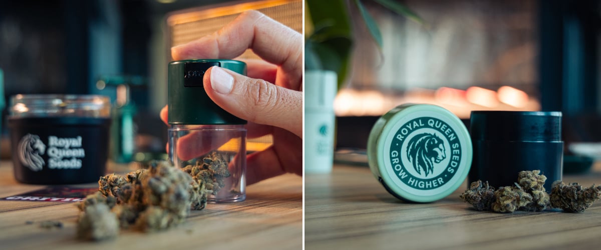 Almacenamiento al vacío para mantener fresco el cannabis Imagen de cogollos de cannabis junto a recipientes compactos de almacenamiento al vacío sobre una superficie de madera.