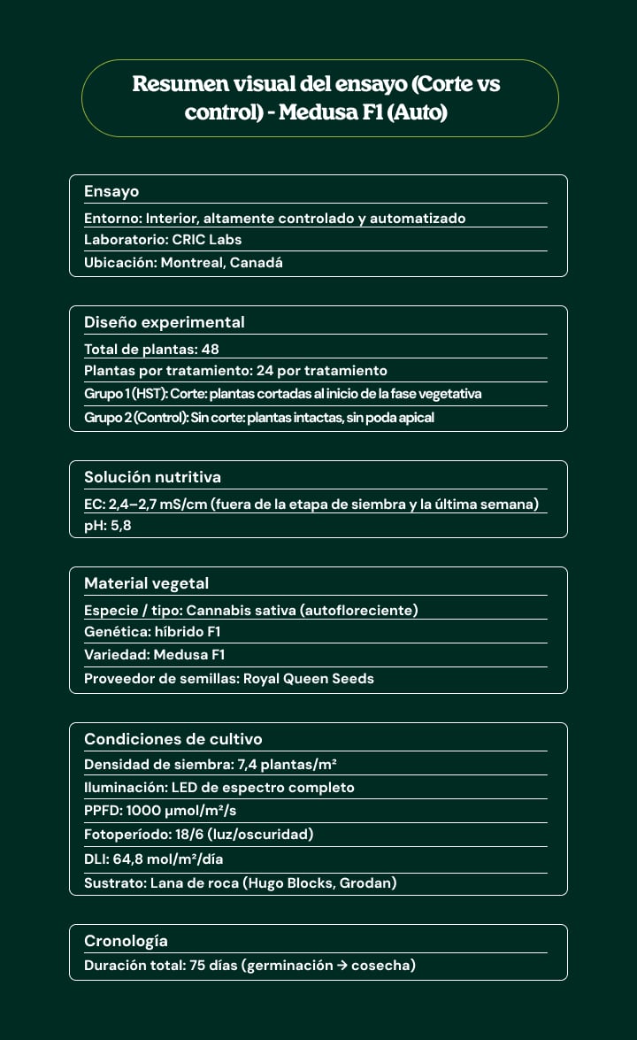 Resumen visual del ensayo de Medusa F1 (Auto) comparando topping vs control, con diseño experimental, material vegetal, condiciones de cultivo, solución nutritiva y cronograma