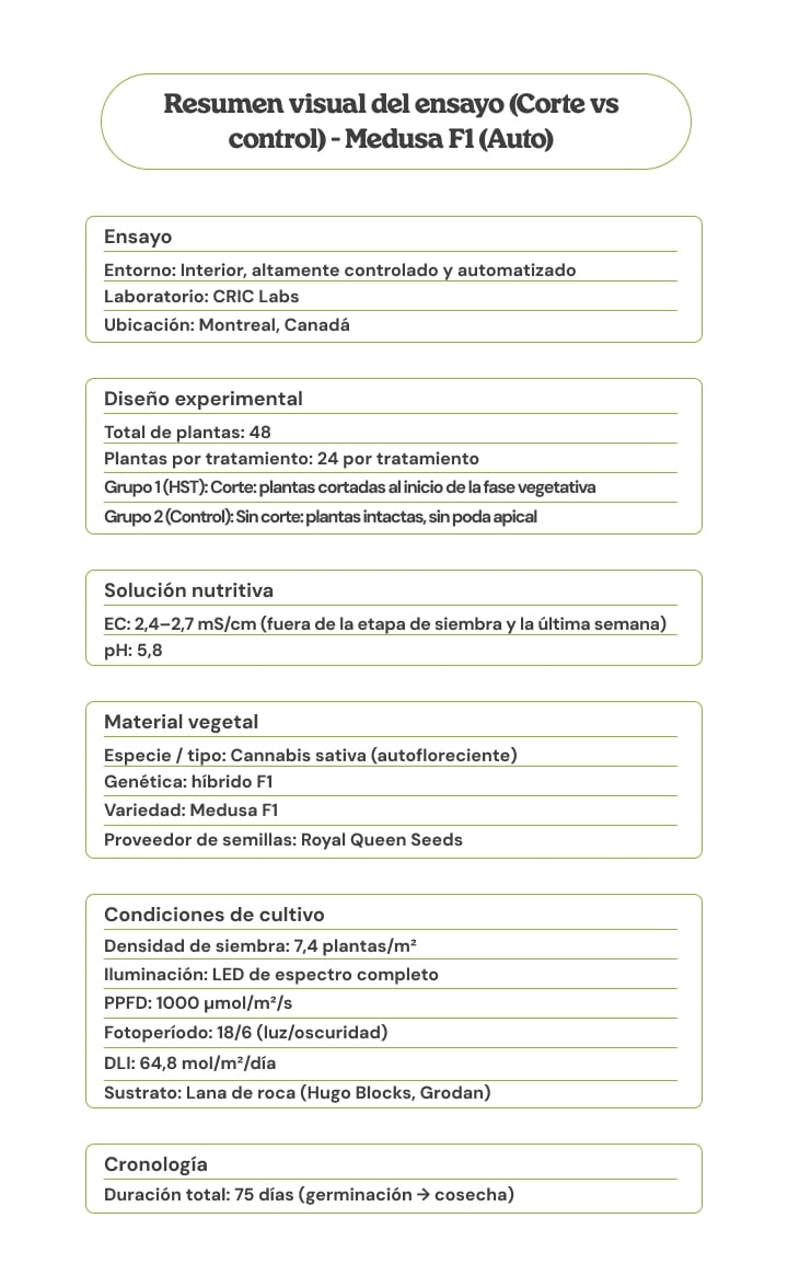Resumen visual del ensayo de Medusa F1 (Auto) comparando topping vs control, con diseño experimental, material vegetal, condiciones de cultivo, solución nutritiva y cronograma