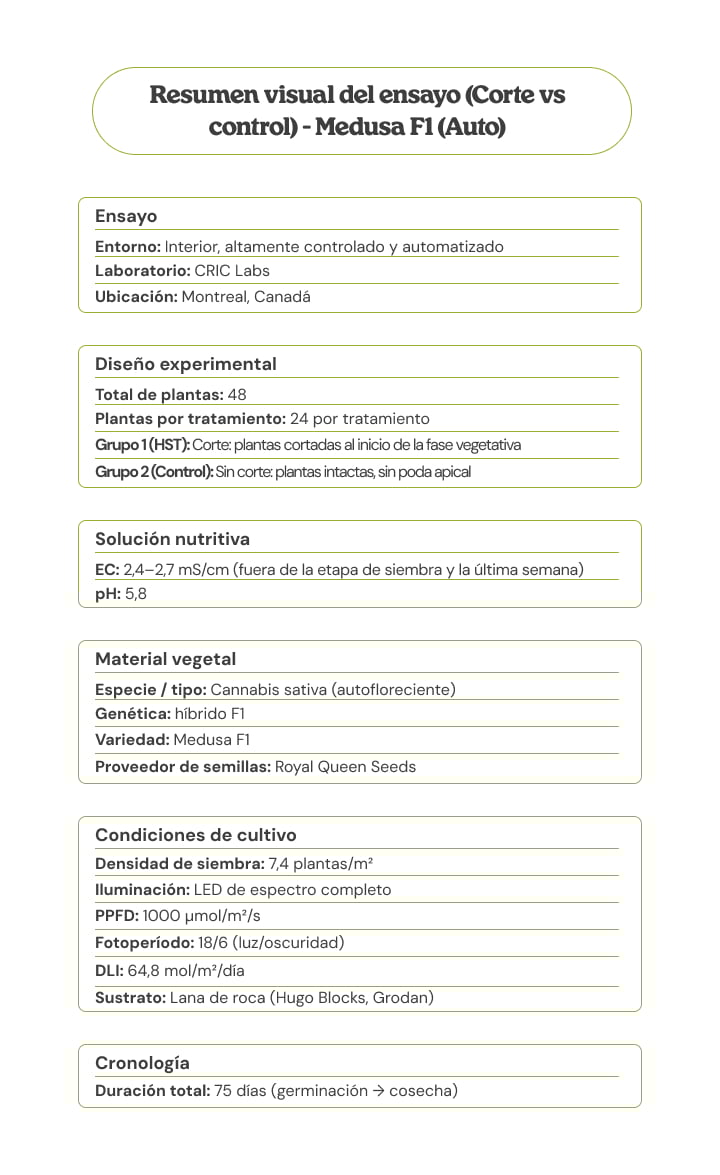 Resumen visual del ensayo de Medusa F1 (Auto) comparando topping vs control, con diseño experimental, material vegetal, condiciones de cultivo, solución nutritiva y cronograma