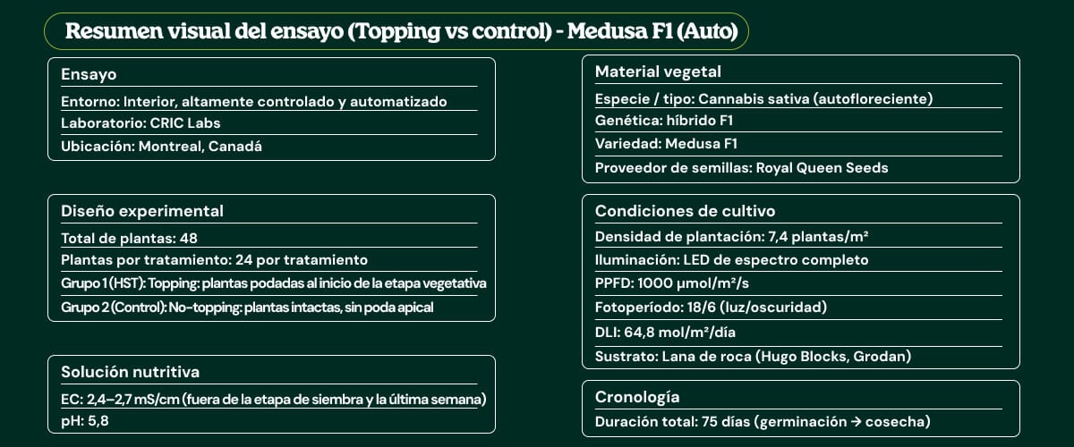 Resumen visual del ensayo de Medusa F1 (Auto) comparando topping vs control, con diseño experimental, material vegetal, condiciones de cultivo, solución nutritiva y cronograma