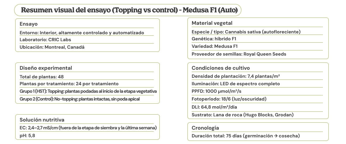 Resumen visual del ensayo de Medusa F1 (Auto) comparando topping vs control, con diseño experimental, material vegetal, condiciones de cultivo, solución nutritiva y cronograma