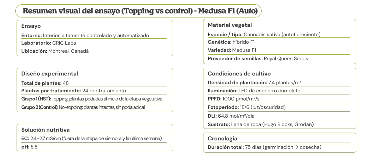 Resumen visual del ensayo de Medusa F1 (Auto) comparando topping vs control, con diseño experimental, material vegetal, condiciones de cultivo, solución nutritiva y cronograma