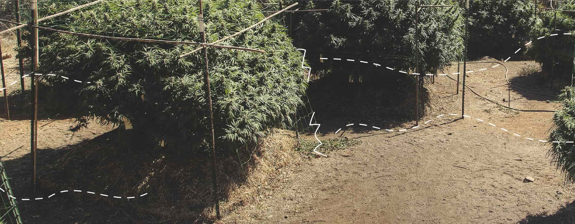 Cómo remediar las quemaduras por viento en exterior