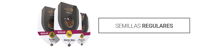 Royal Queen Seeds regular seeds