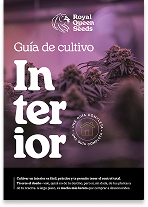 Indoor_guide_es