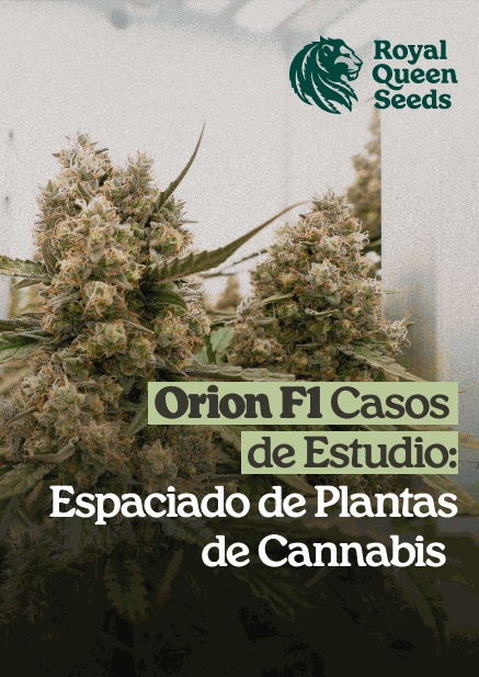 Plant_spacing_es