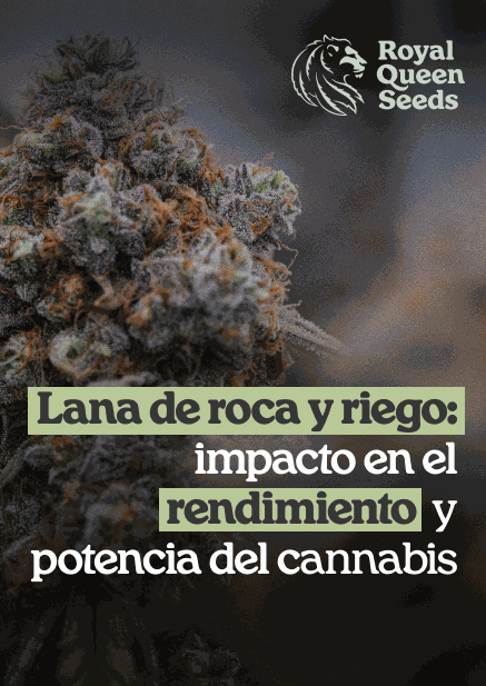 Rockwool_choice_es