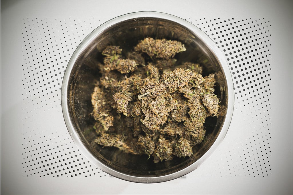 ¿Qué es mejor, cosechar la marihuana temprano o tarde?