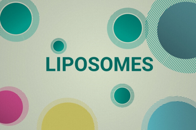 ¿Pueden los liposomas suministrar CBD de forma más eficaz?