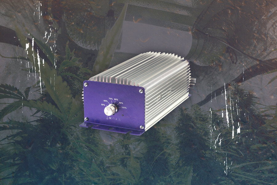 Cómo elegir y utilizar un balastro para lámparas de cultivo HID