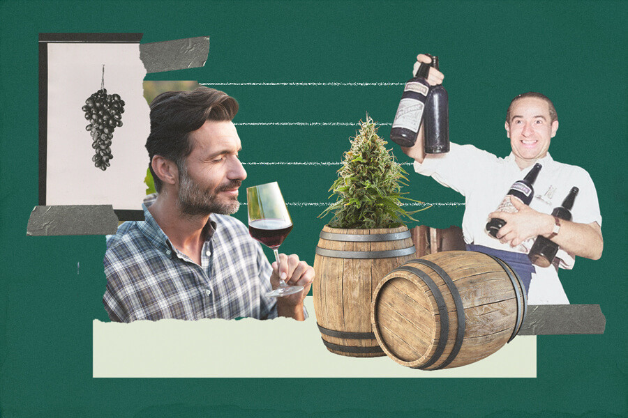 Cómo hacer vino con marihuana 