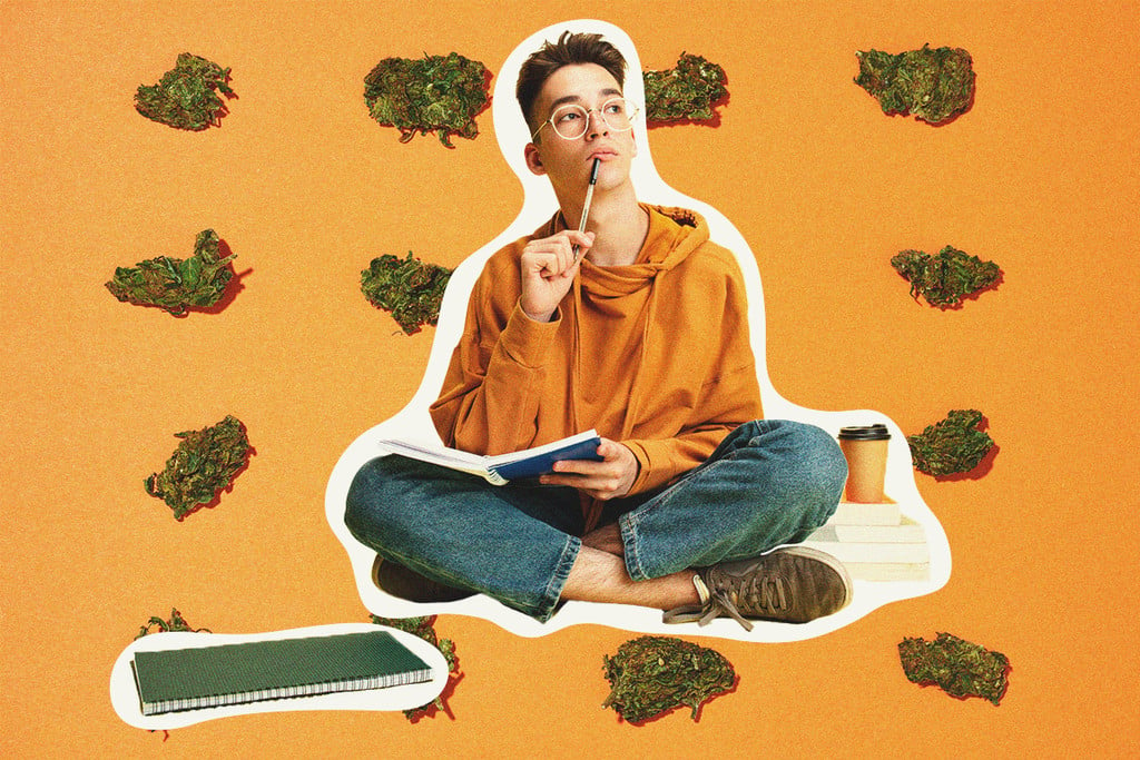 ¿Puede la marihuana ayudarte a estudiar mejor? 