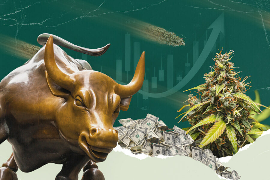 Fundamentos del mercado de valores de la marihuana