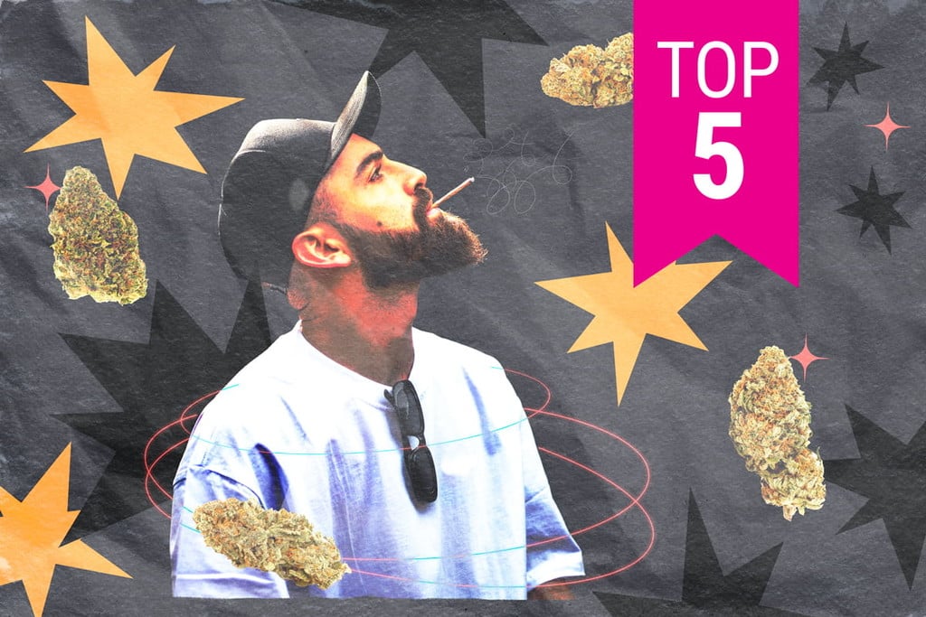 Top 5 de variedades de cannabis para fomentar la concentración y la creatividad