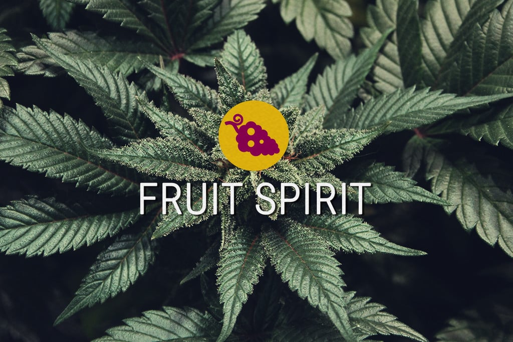Fruit Spirit Semillas de marihuana feminizadas