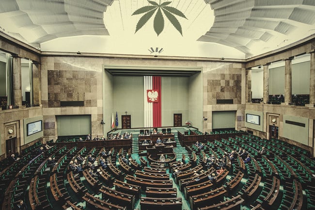 El cannabis medicinal por fin está disponible en Polonia