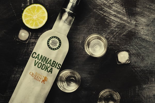 Vodka con cannabis: 2 maneras sencillas de prepararlo