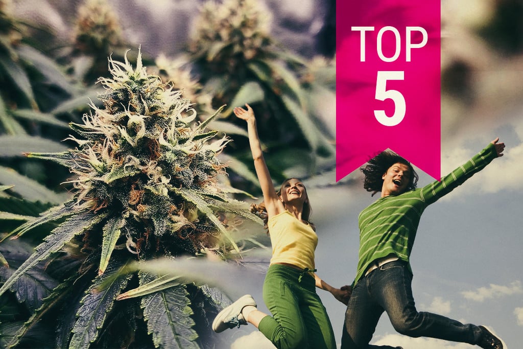 Las 5 variedades de marihuana más energéticas