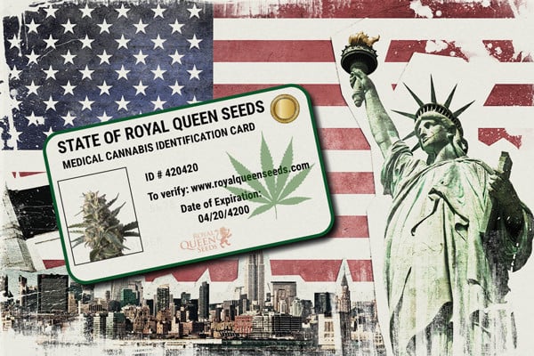 Cómo conseguir una tarjeta de marihuana medicinal en los Estados Unidos