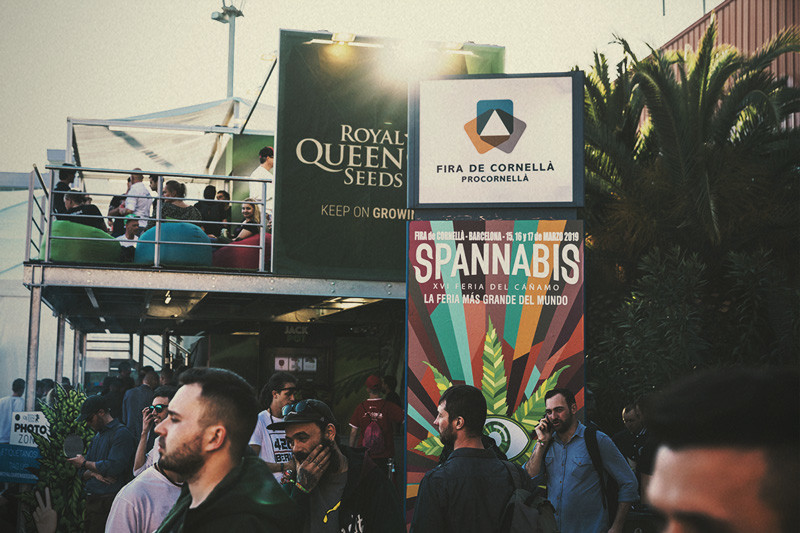 Royal Queen Seeds se alza como Mejor Banco de Semillas en Spannabis 2019