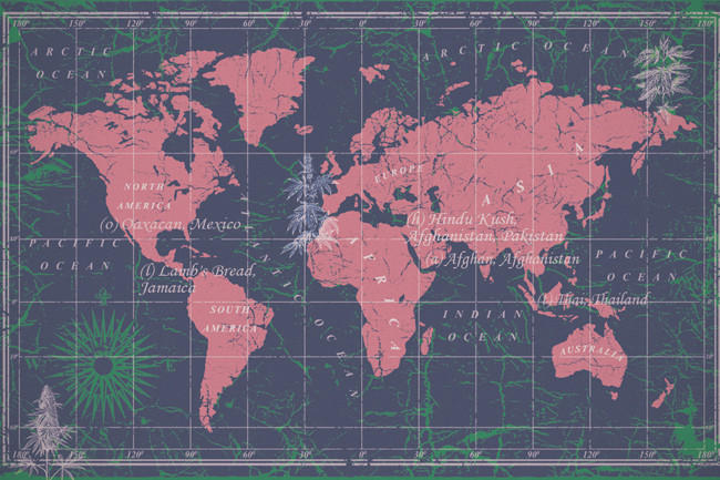 ¿Hay algún método en la locura de los nombres de cepas de cannabis?