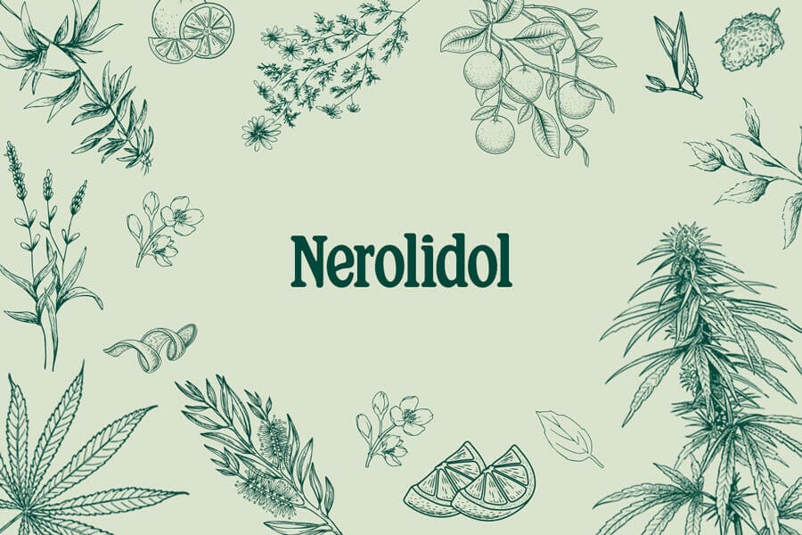 Terpenos del cannabis: nerolidol, un sesquiterpeno muy versátil