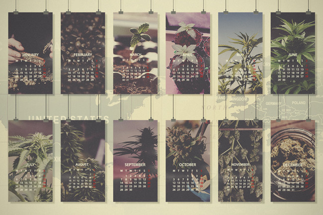 Guía mensual de cultivo de cannabis: Norte de Europa, de EE.UU. y Canadá